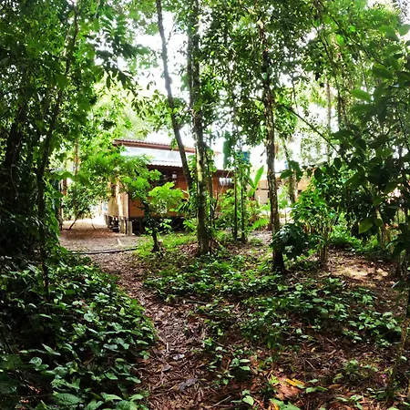 Chalé aconchegante a 50m da Praia - Ubatumirim-3